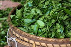 Wuyi Rock Tea