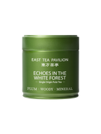 Echoes in the White Forest