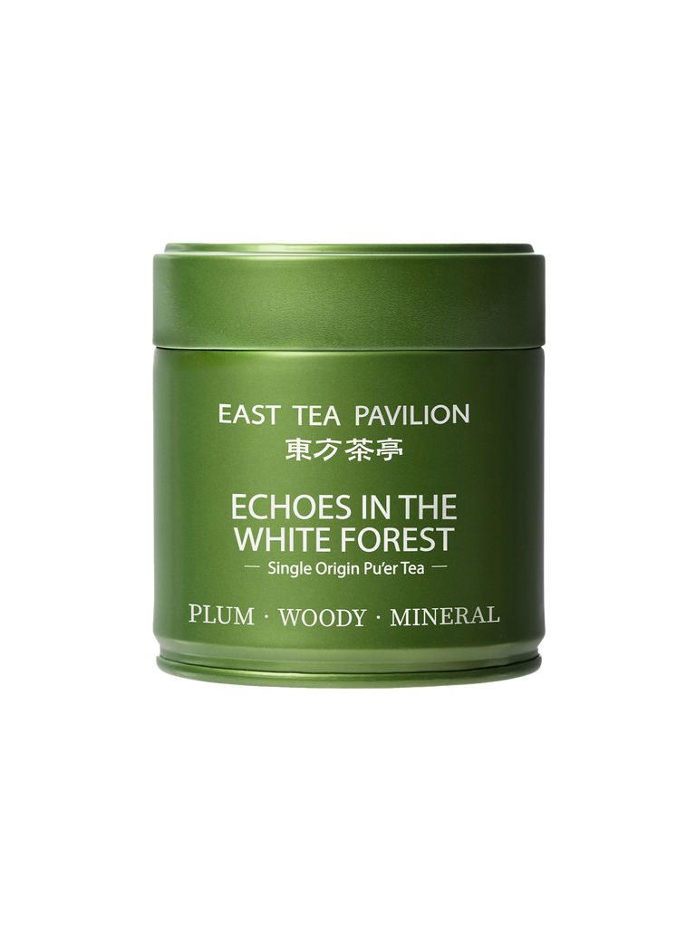 Echoes in the White Forest